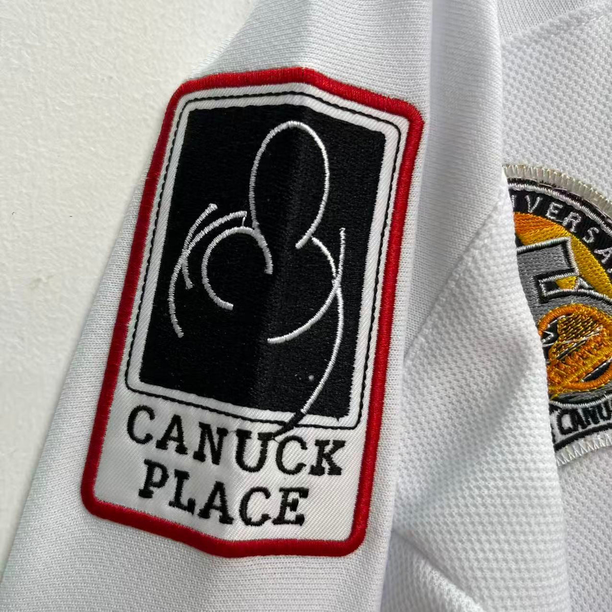 Gino Odjick Vancouver Canucks Official NHL Jersey Mitchell product image 4
