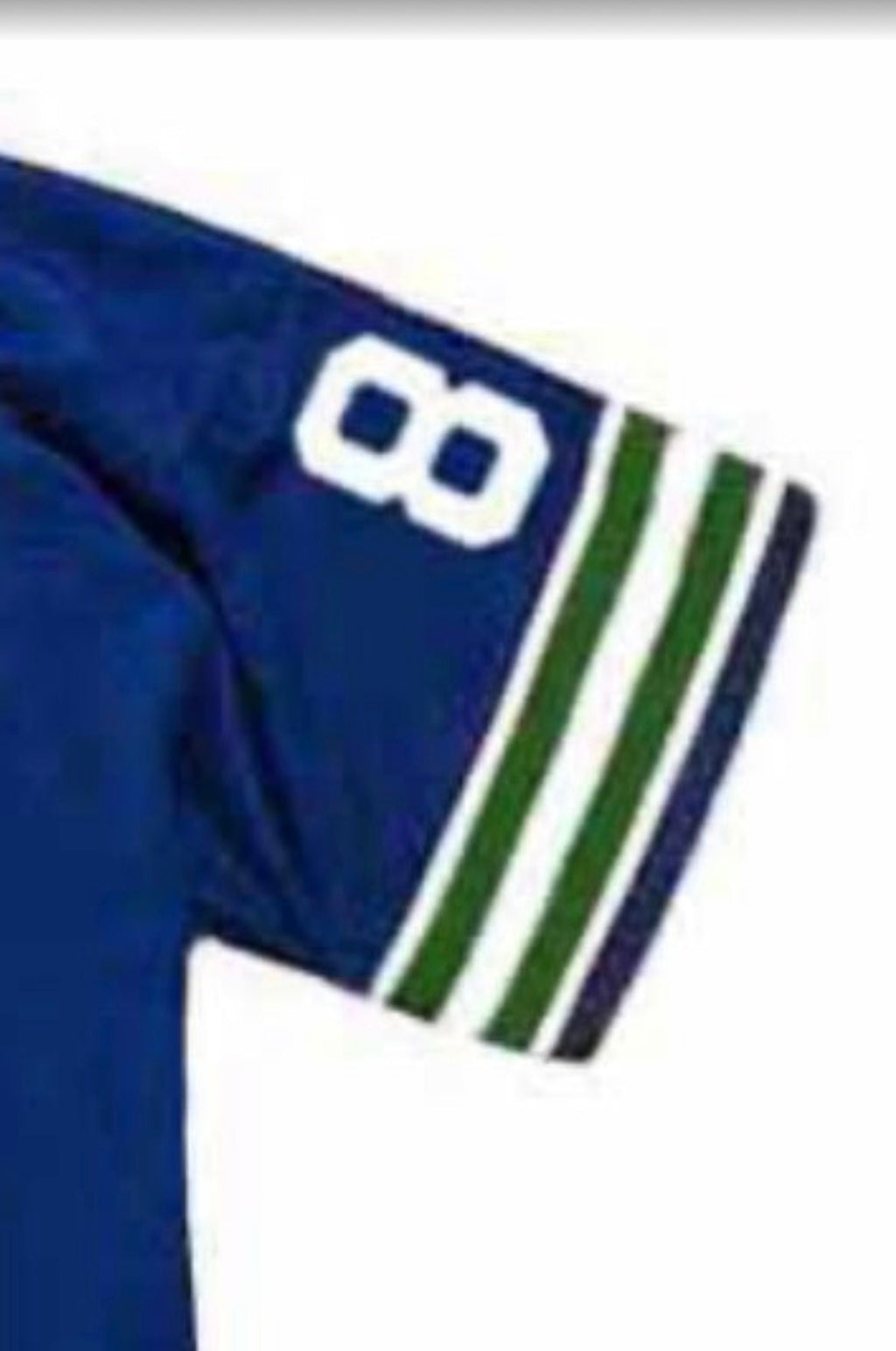 Steve Raible Seattle Seahawks Official NFL Jersey Mitchell product image 4