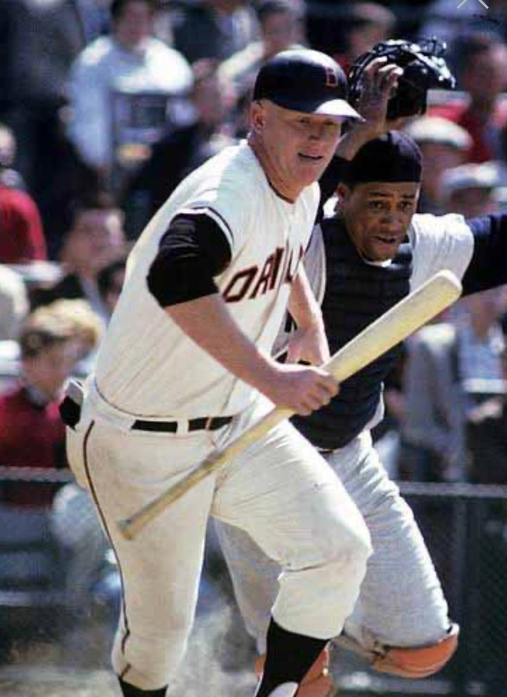 Boog Powell 1965 Baltimore Orioles Official MLB Majestic product image 3