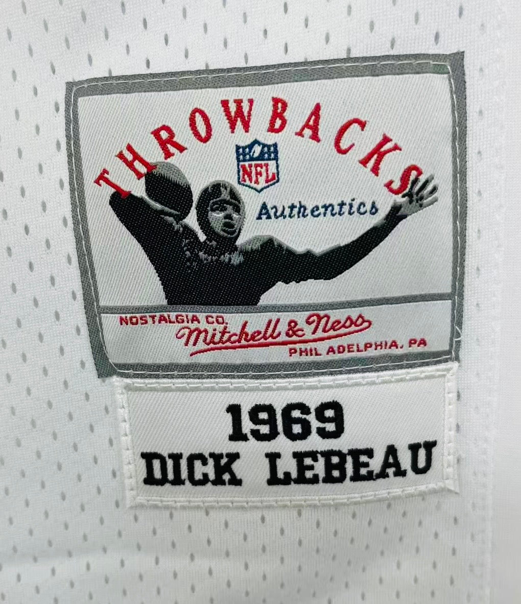 DICK LEBEAU 1969 Detroit Lions NFL Mitchell & Ness Jersey product image 3