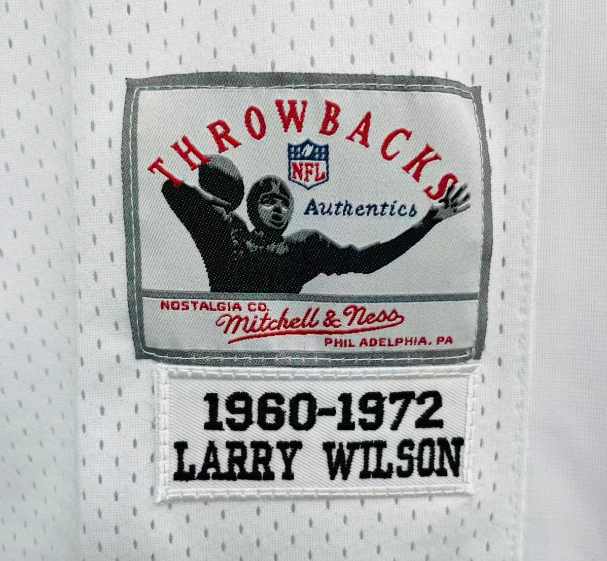 Larry Wilson St. Louis Cardinals NFL Mitchell & Ness Jersey product image 3