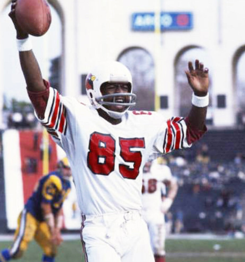 Mel Gray St. Louis Cardinals NFL Mitchell & Ness Jersey product image 4
