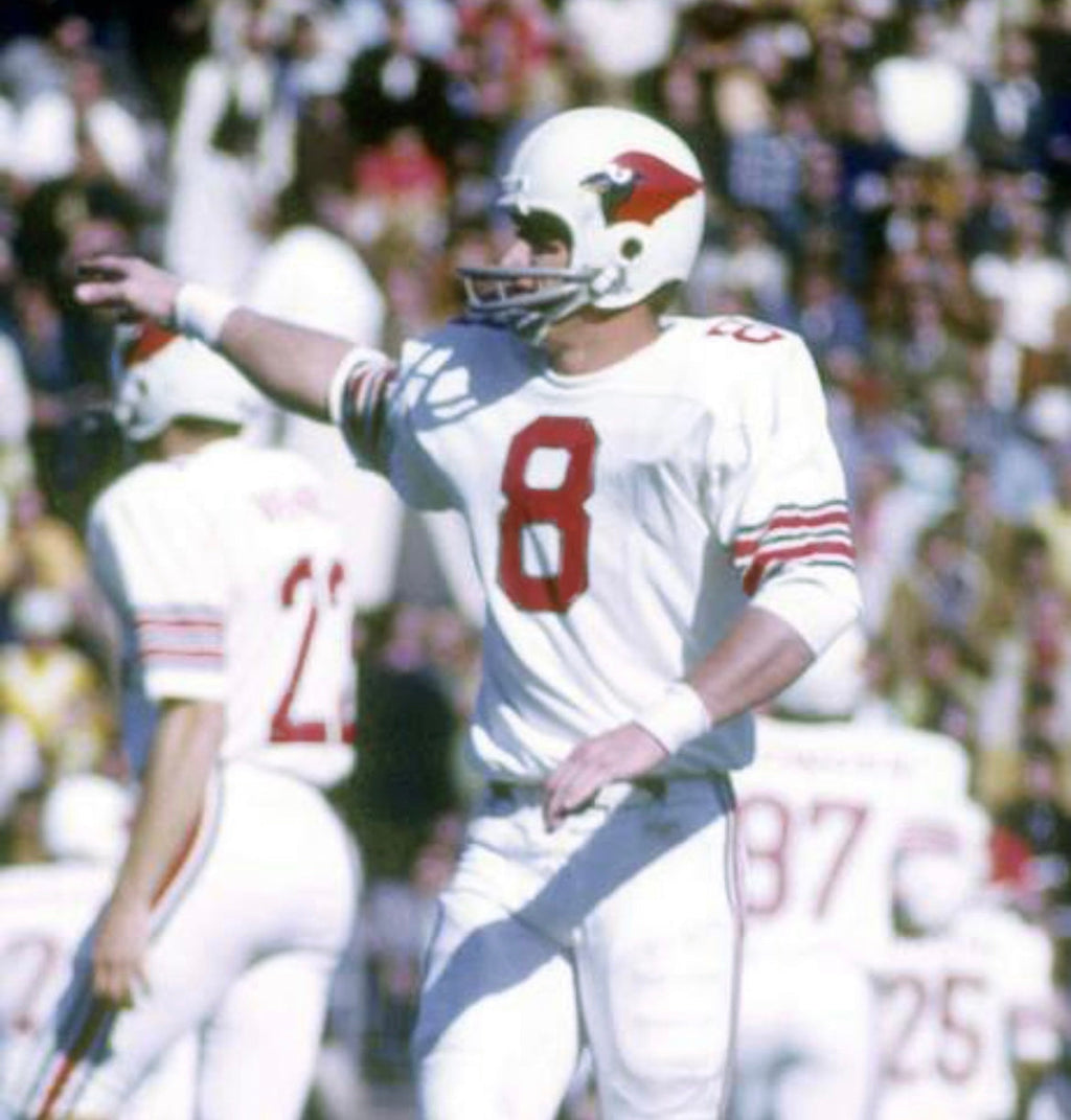 Larry Wilson St. Louis Cardinals NFL Mitchell & Ness Jersey product image 4