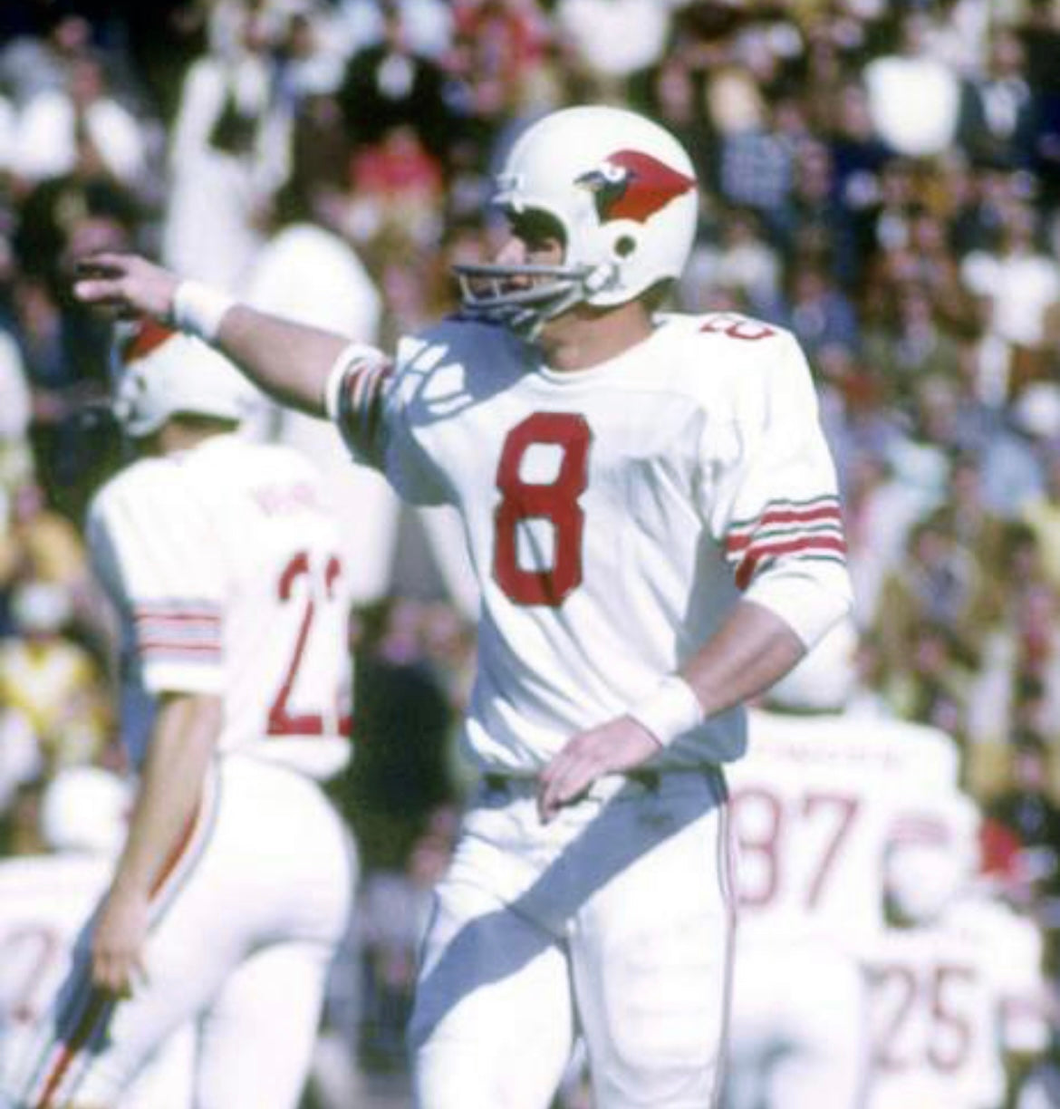 Larry Wilson St. Louis Cardinals NFL Mitchell & Ness Jersey product image 4