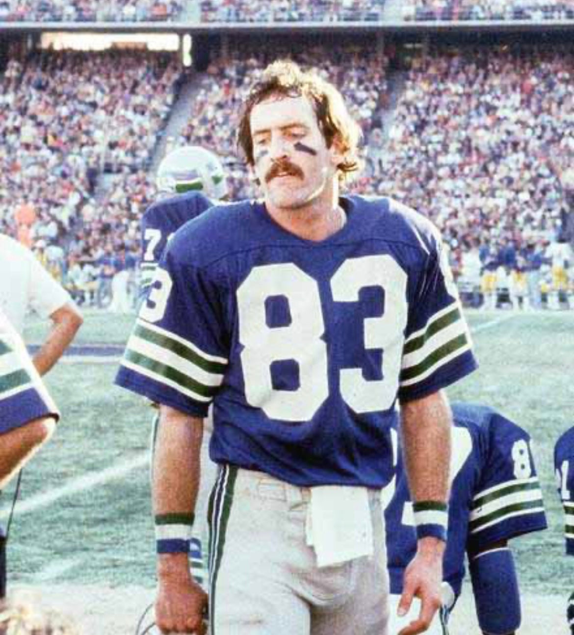 Steve Raible Seattle Seahawks Official NFL Jersey Mitchell product image 5