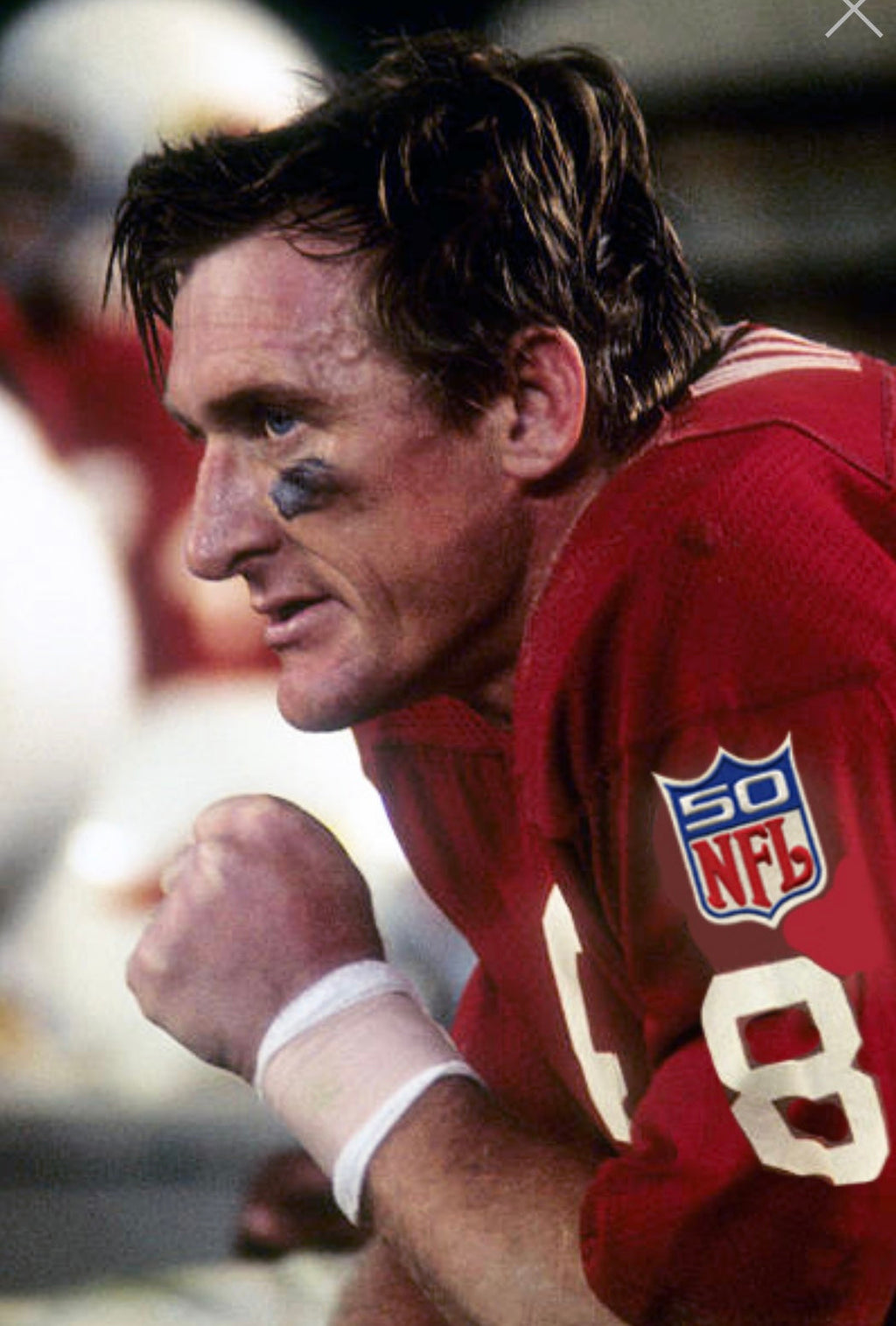 Larry Wilson 1969 St. Louis Cardinals NFL Mitchell & Ness product image 5