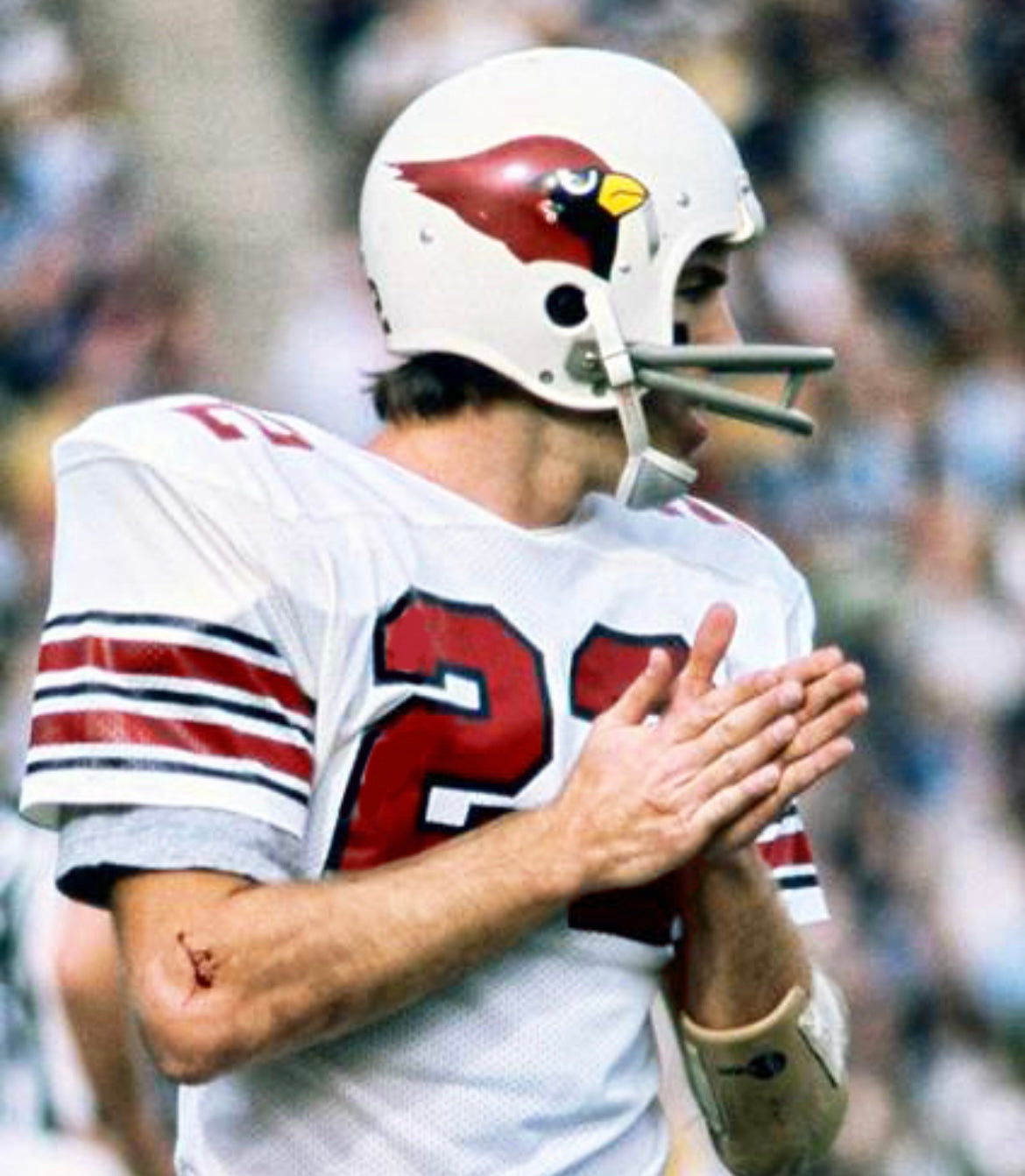 Roger Wehrli St. Louis Cardinals NFL Mitchell & Ness Jersey product image 3