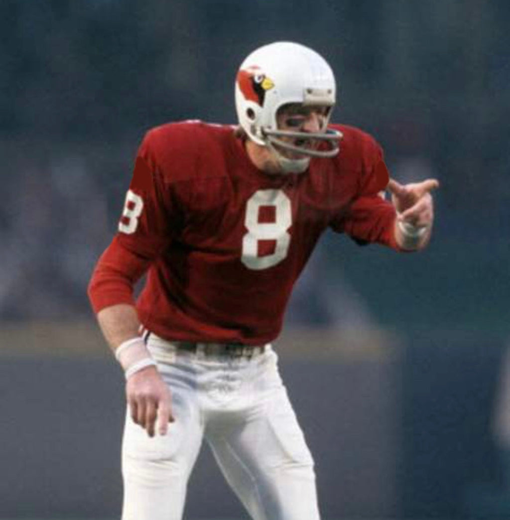 Any name & Number St. Louis Cardinals NFL Mitchell & Ness product image 3