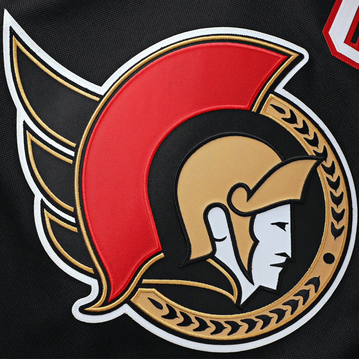 Ottawa Senators Brady Tkachuk Black Home Premium Jersey product image 5, provided for visual reference and product detail